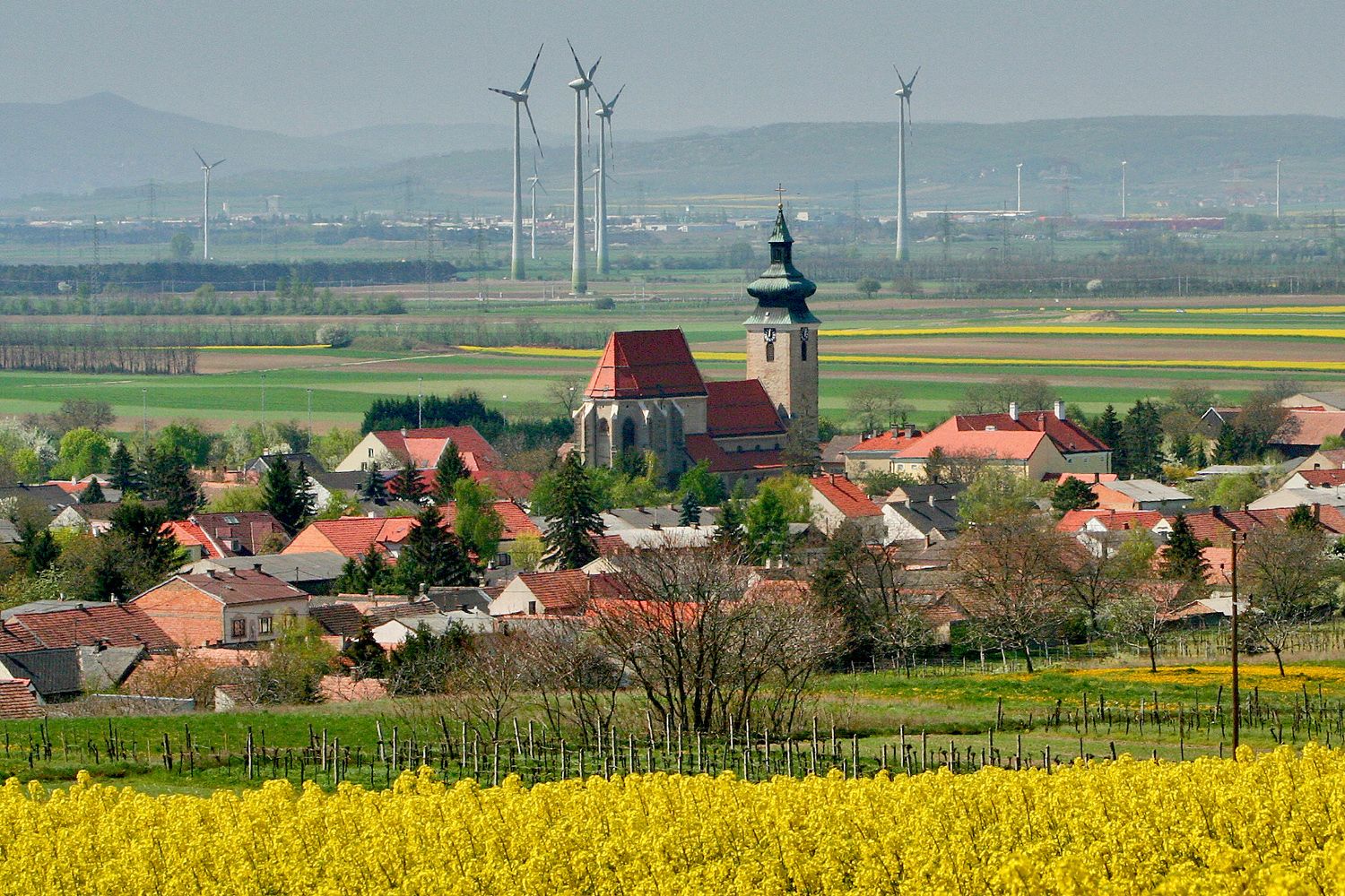 Blick auf Pillichsdorf mit Kirche, umgeben von Feldern und Windrädern im Hintergrund.