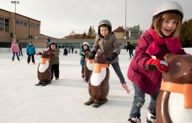 Kinder beim Schlittschuhlaufen mit Pinguin-Hilfen auf einer Eisbahn.