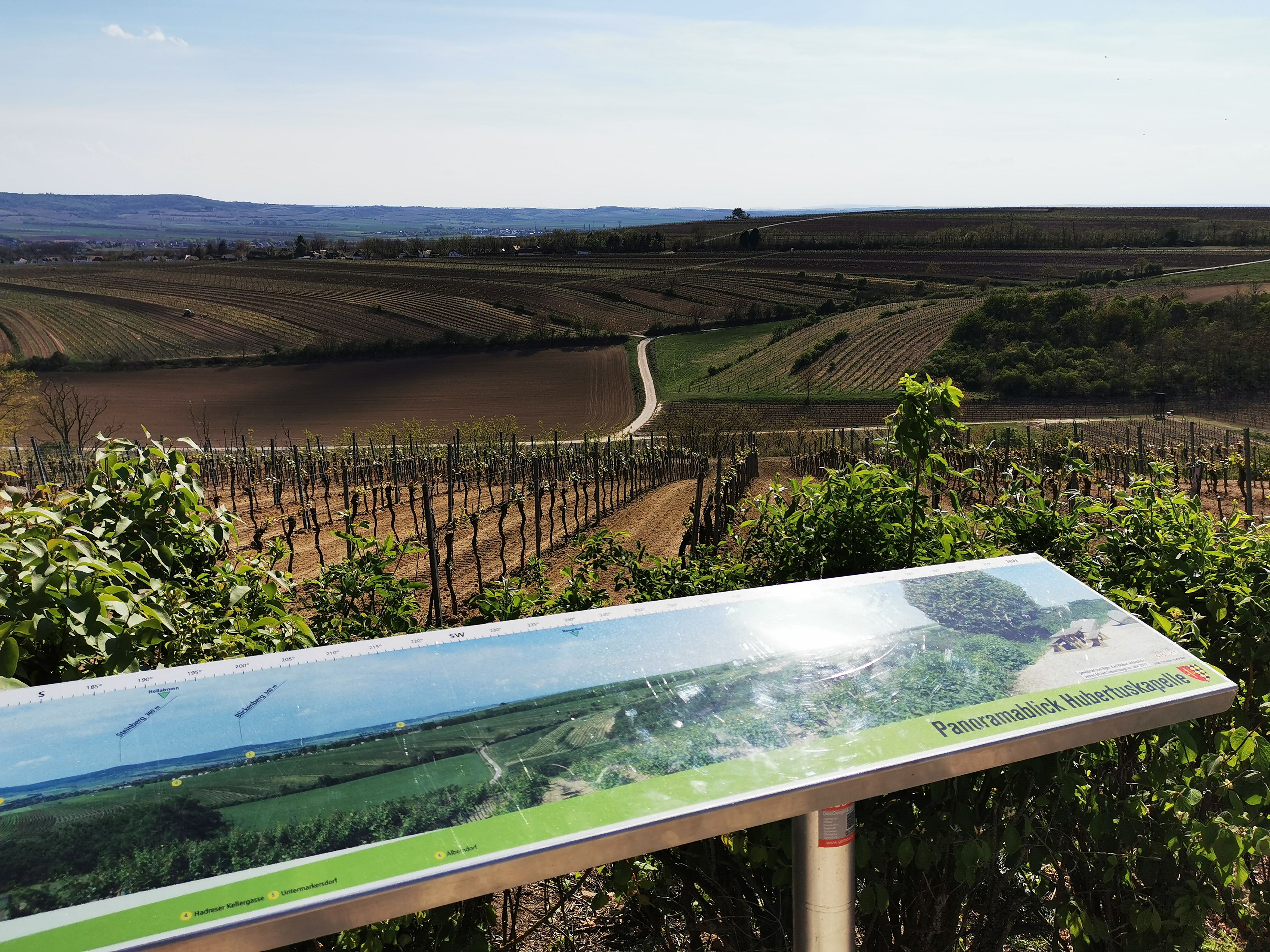 Panoramatafel vor Weinbergen und Feldern in einer ländlichen Landschaft.