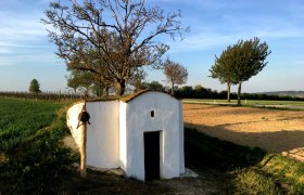 Weiße Hiatahütte in ländlicher Umgebung mit Bäumen und Feldern.