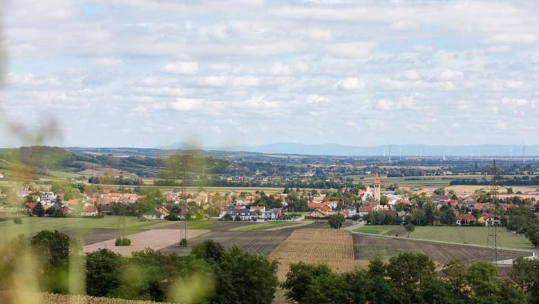 Blick auf Enzersfeld, © Leader-Region Weinviertel / Lahofer