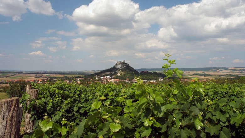 Blick auf den Staatzer Berg mit Ruine, umgeben von Weinbergen und Feldern unter blauem Himmel mit Wolken.