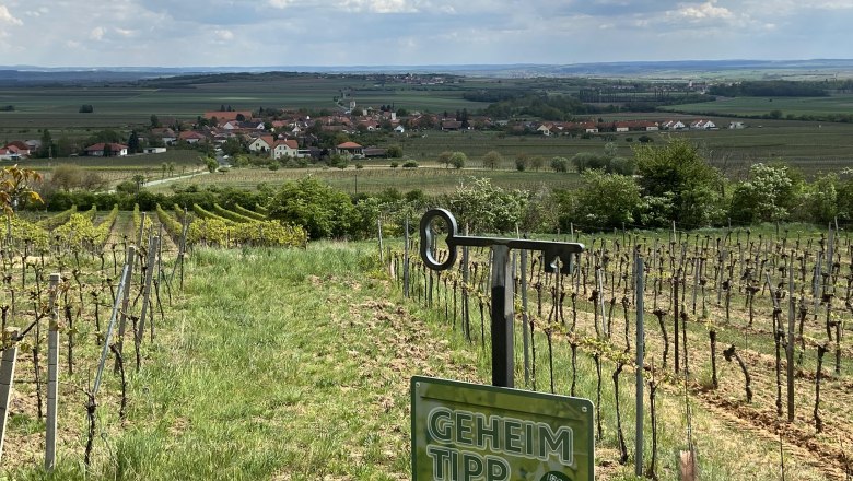 Weinberg mit Blick auf ein Dorf im Weinviertel, Schild mit der Aufschrift 'Geheimtipp'.