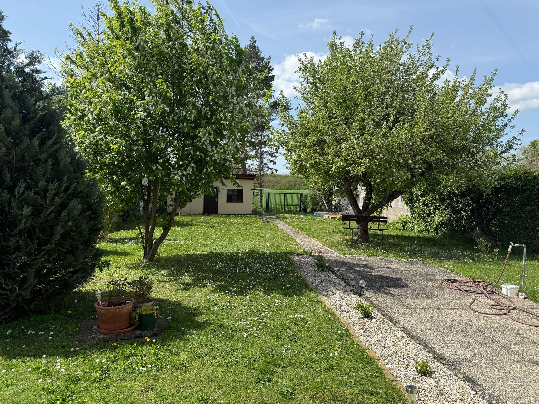 Zelená záhrada so stromami, cestou a malou budovou v pozadí.