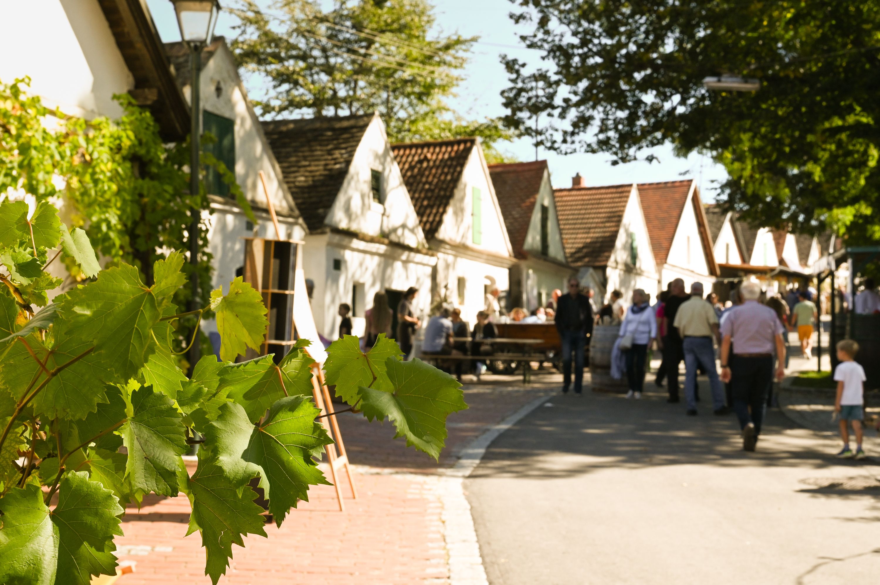 Menschen spazieren durch eine malerische Gasse mit weißen Häusern und Weinreben im Vordergrund.