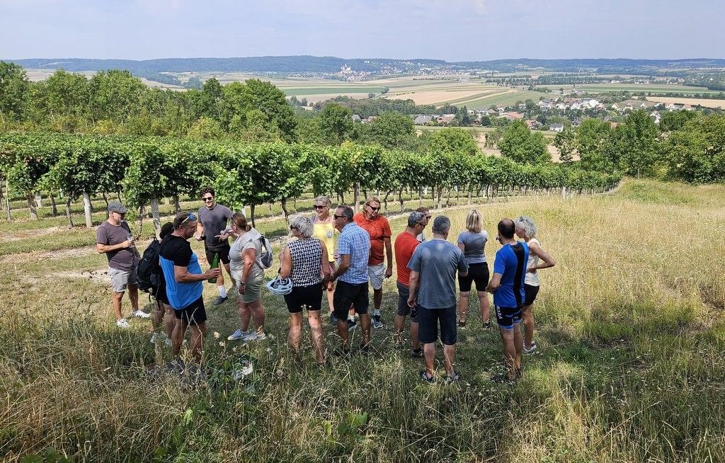 Riedenwanderung - Weingut Kugler