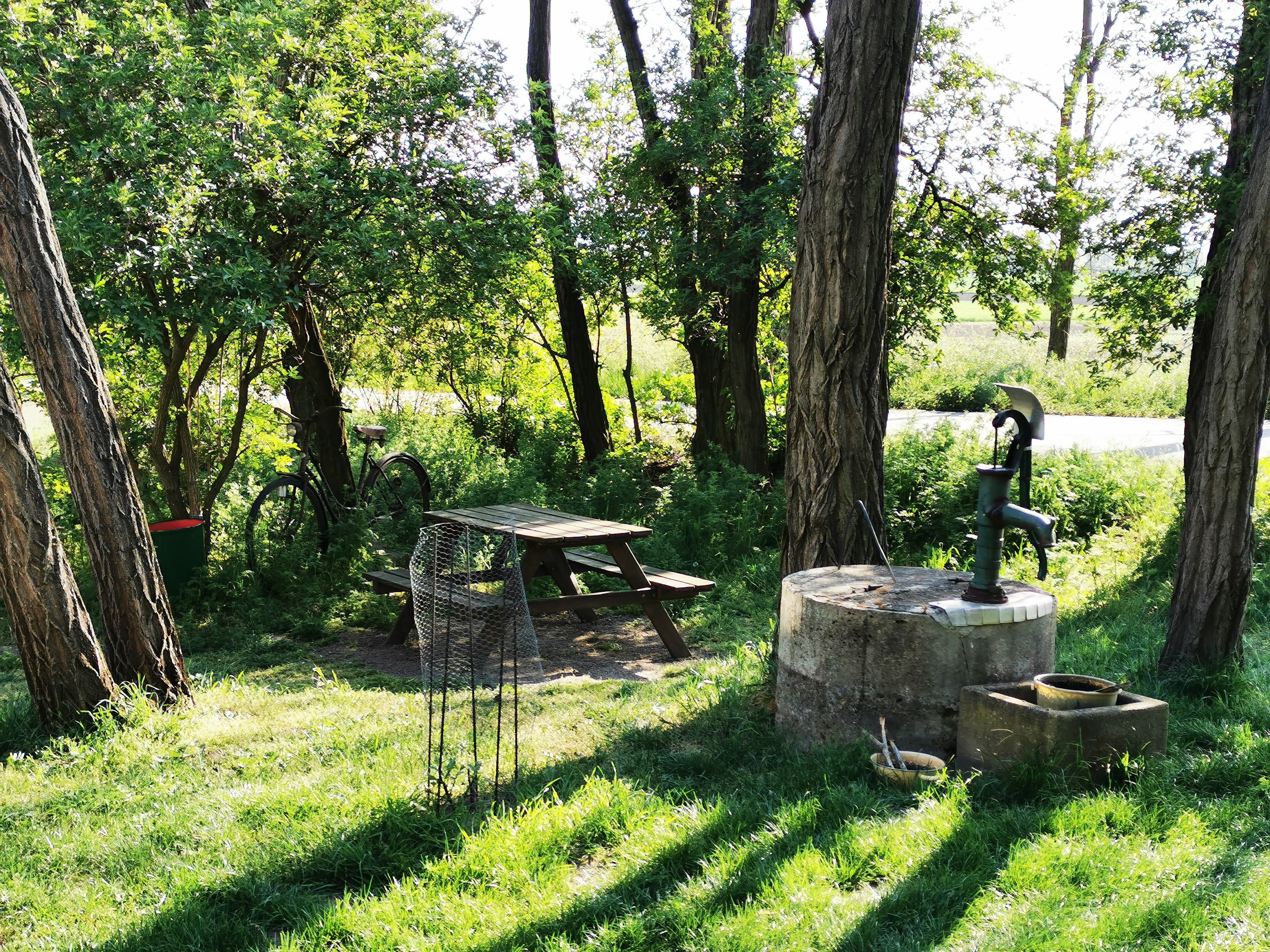 Ein idyllischer Rastplatz mit Tisch, Bank, Fahrrad und Wasserpumpe im Grünen.