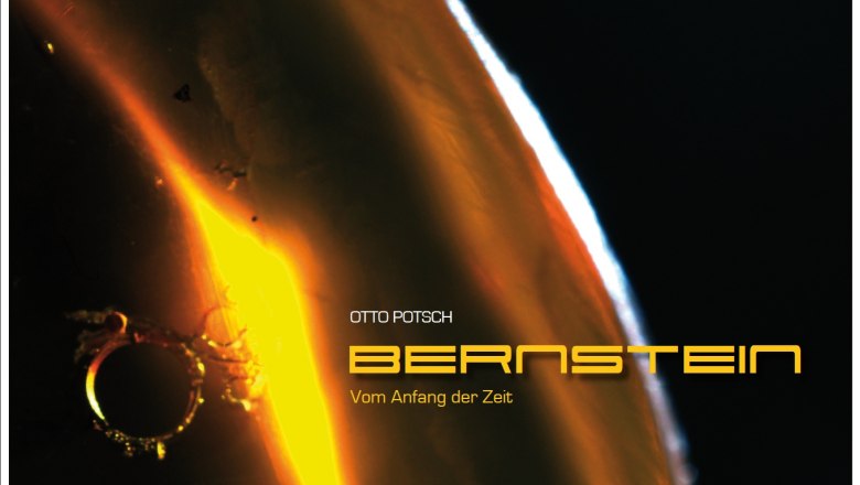 Bernstein - vom Anfang der Zeit