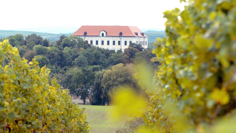 Hrad Hardegg obklopený stromami, s červenou strechou a bielymi múrmi a kopcovitou krajinou v pozadí.