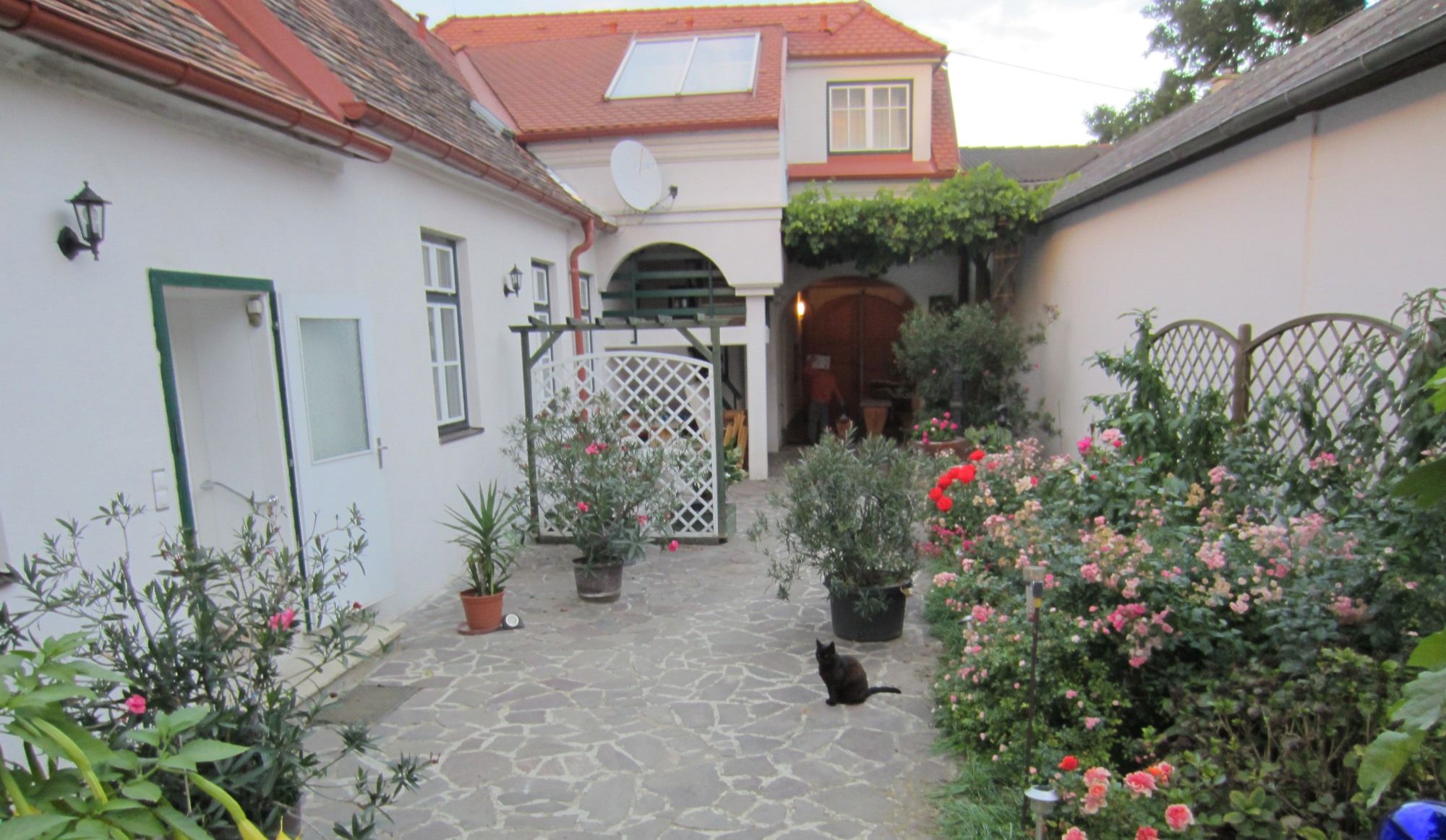 Innenhof eines Weinbauernhofs mit Blumen und einer schwarzen Katze.