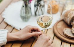 Ein sonniger Nachmittag auf einem malerischen Winzerhof, wo die Gäste mit einem Glas frischem Wein anstoßen. Umgeben von blühenden Wildblumen und einer einladenden Jause, genießen die Besucher die entspannte Atmosphäre und die köstlichen Aromen der Region.