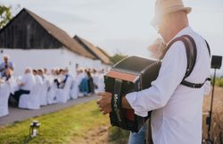 In der malerischen Kellergasse „Alte Geringen“ umgeben von sanften Weinbergen, erklingt die fröhliche Melodie eines Akkordeons. Die Gäste genießen die kulinarischen Köstlichkeiten und die entspannte Atmosphäre, während die Sonne sanft über die Landschaft strahlt.