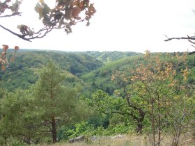 Wandern rund um Pulkau, &copy; Fotoclub Pulkau