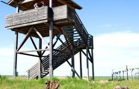 Holzturm mit zwei Personen und Holzskulpturen von Vögeln im Vordergrund auf einer Wiese.