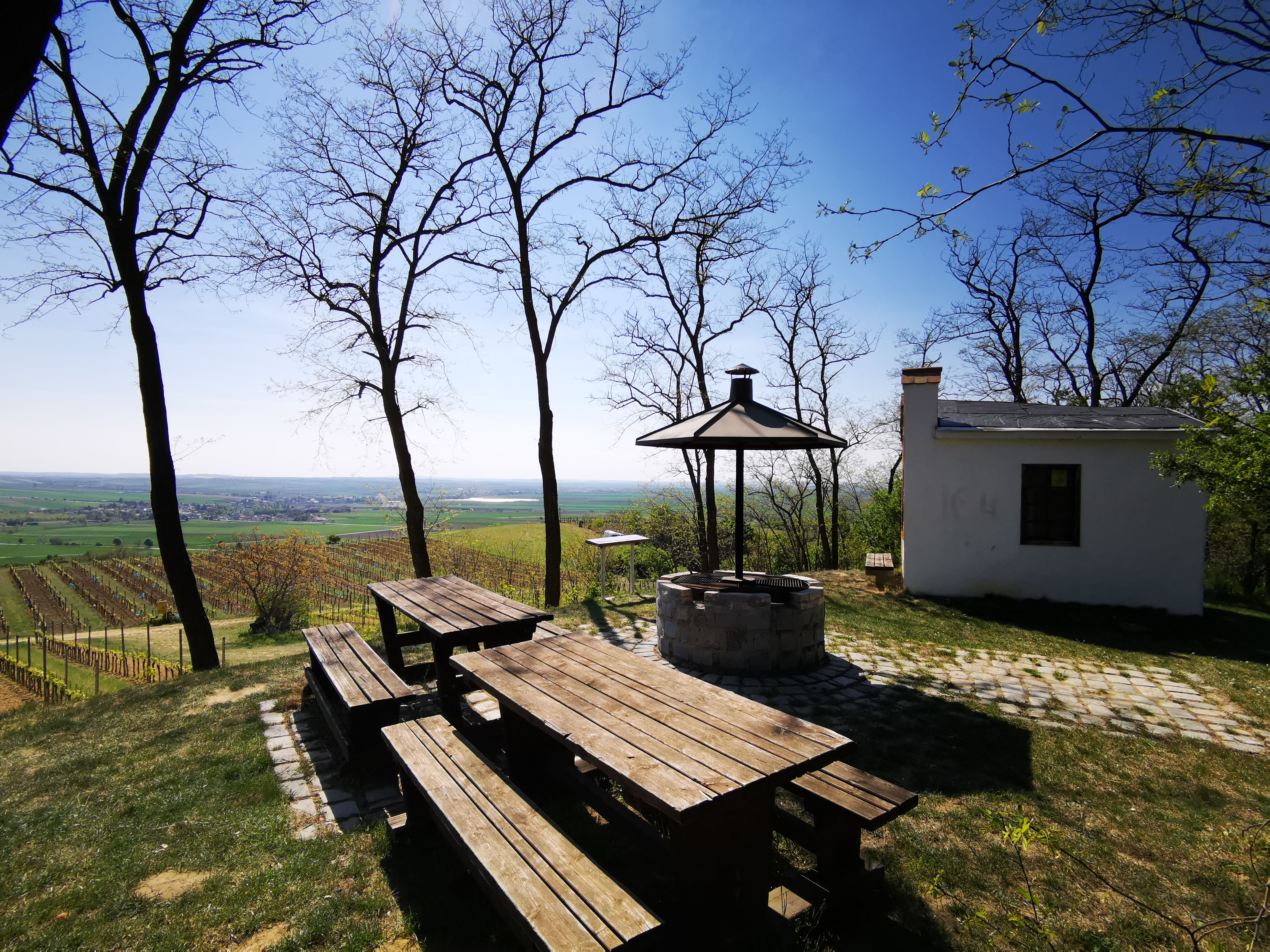 Picnic area with wooden tables and barbecue on a hill overlooking vineyards and a small building.