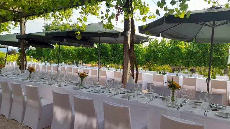 Elegante, lange Tische mit weißen Tischdecken und Sonnenblumen in einem Garten mit Weinreben.