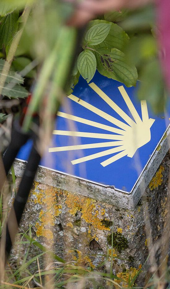 Das Logo des Jakobsweges (gelbe illustrierte Muschel auf blauem Hintergrund) weist einer wandernden Person den Weg.