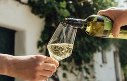 Inmitten der malerischen Weinviertler Kellergassen fließt der spritzige Wein in ein elegantes Glas. Die warmen Sonnenstrahlen und das sanfte Plätschern des Weins schaffen eine einladende Atmosphäre, die zum Verweilen und Genießen einlädt.