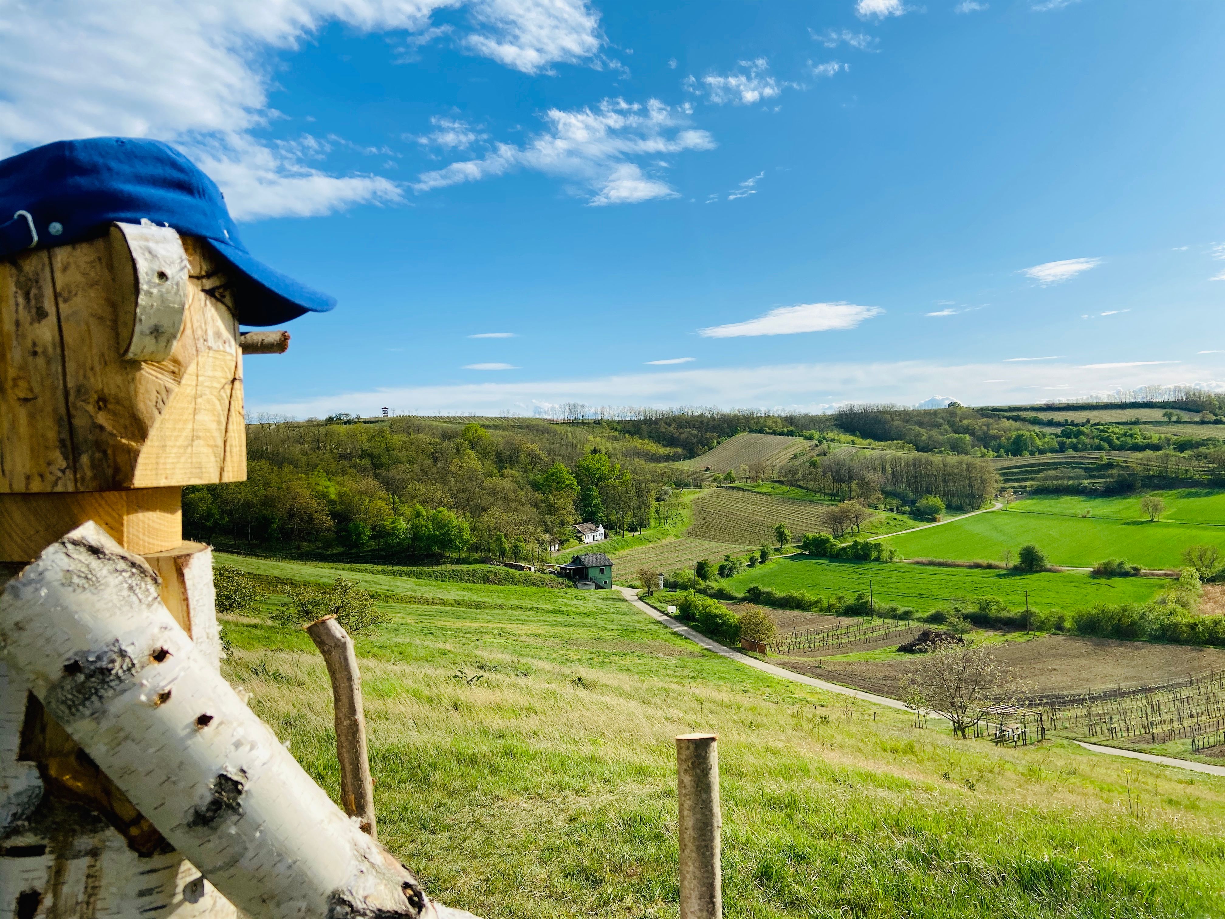 Holzfigur mit blauer Kappe blickt auf hügelige Landschaft mit Feldern und Wäldern unter blauem Himmel.