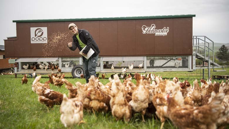Chickens, © Netzwerk Kulinarik / pov.at
