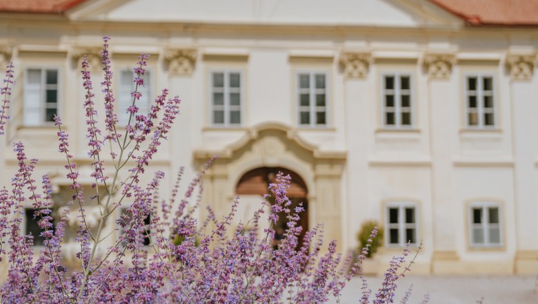 Schloss Marchegg, © Weinviertel Tourismus / nadinechristine__