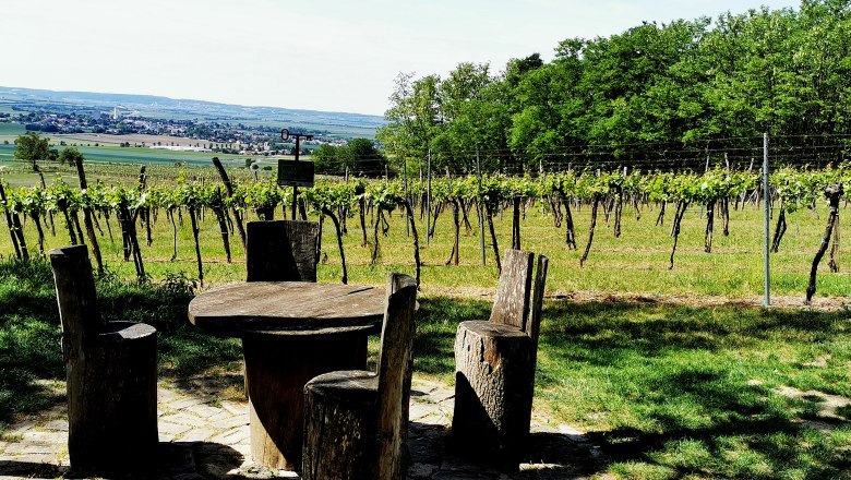 Holztisch und Stühle in einem Weinberg mit Blick auf die Landschaft.