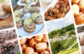 Weinviertler Weinbergschnecke, &copy; Weinviertler Weinbergschnecke