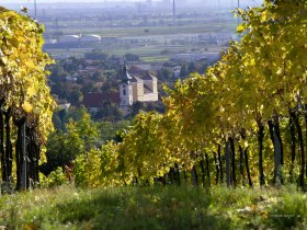 Blick auf Wolkersdorf, &copy; Fotostudio Semrad