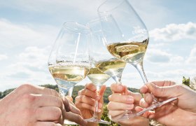 Weintour Weinviertel, © Weinviertel Tourismus / Schwarz-König