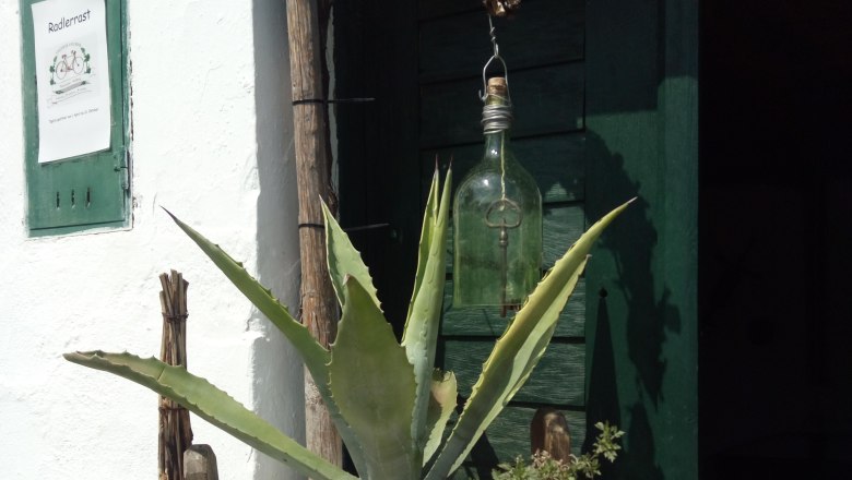 Plant in a wooden barrel in front of a green door with a sign 'Radlerrast'.
