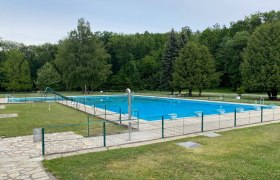 Ein leeres Freibad mit einem großen Schwimmbecken, umgeben von Bäumen und Rasenflächen.