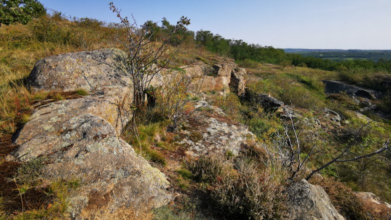 Rocky landscape with sparse vegetation and blue sky.