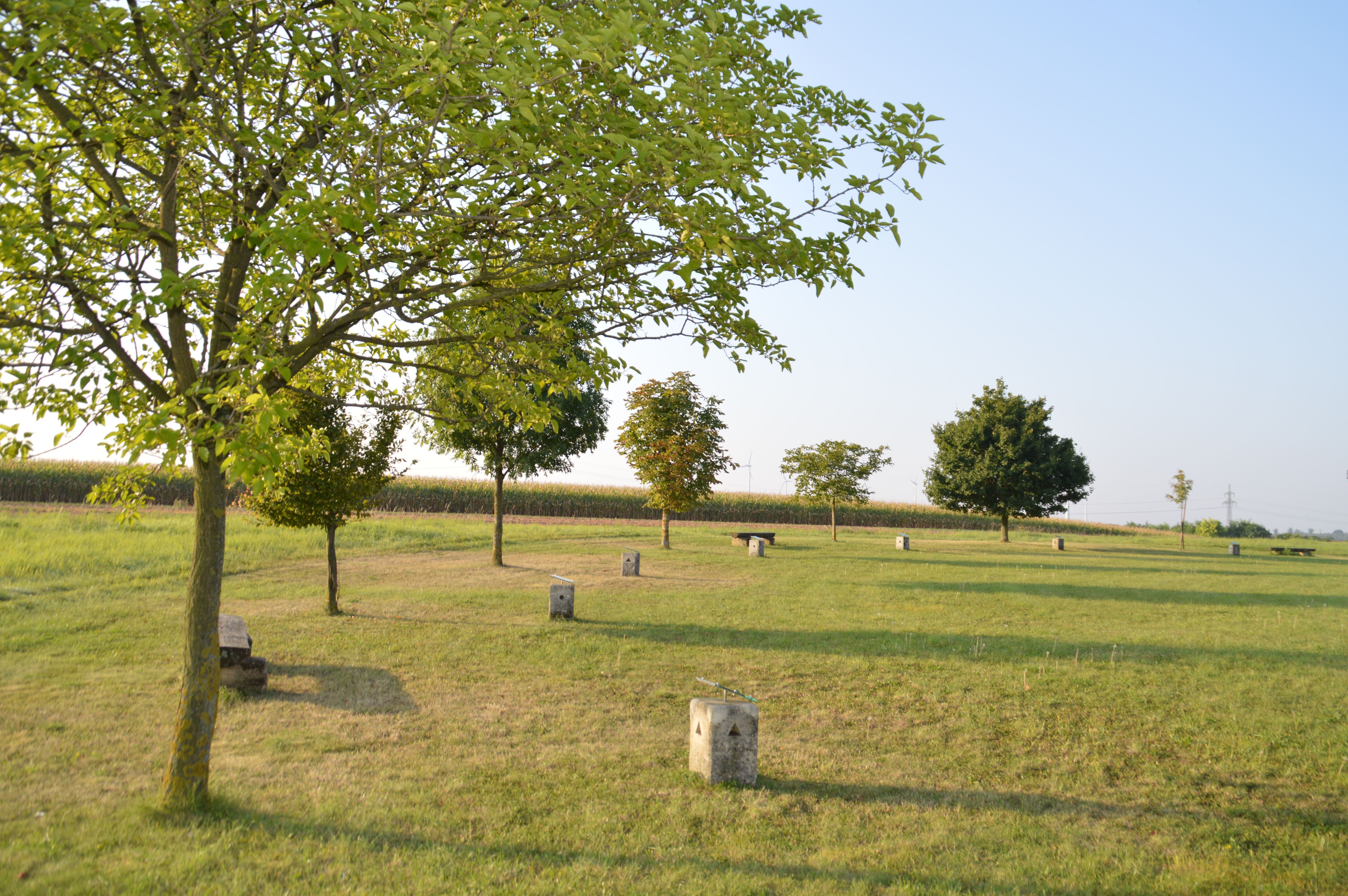 Ein Kreis von Bäumen auf einer Wiese mit Bänken und Betonblöcken im Veltlinerland.