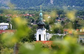 Kirchturm mit grüner Kuppel in einer Stadtlandschaft, umgeben von Bäumen und Häusern.
