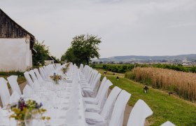 Langer, festlich gedeckter Tisch im Freien neben einem Feld.
