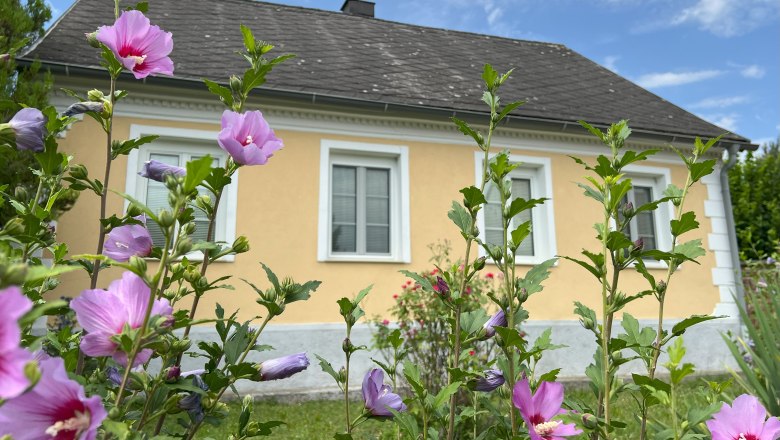 Ein gelbes Haus mit weißen Fensterrahmen, umgeben von blühenden rosa Blumen im Vordergrund.