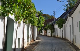 Eine gepflasterte Gasse mit weißen Häusern und Weinreben an den Fassaden unter blauem Himmel.