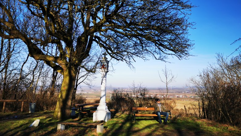 Ein Mann sitzt auf einer Bank unter einem großen Baum mit Blick auf eine weite Landschaft.