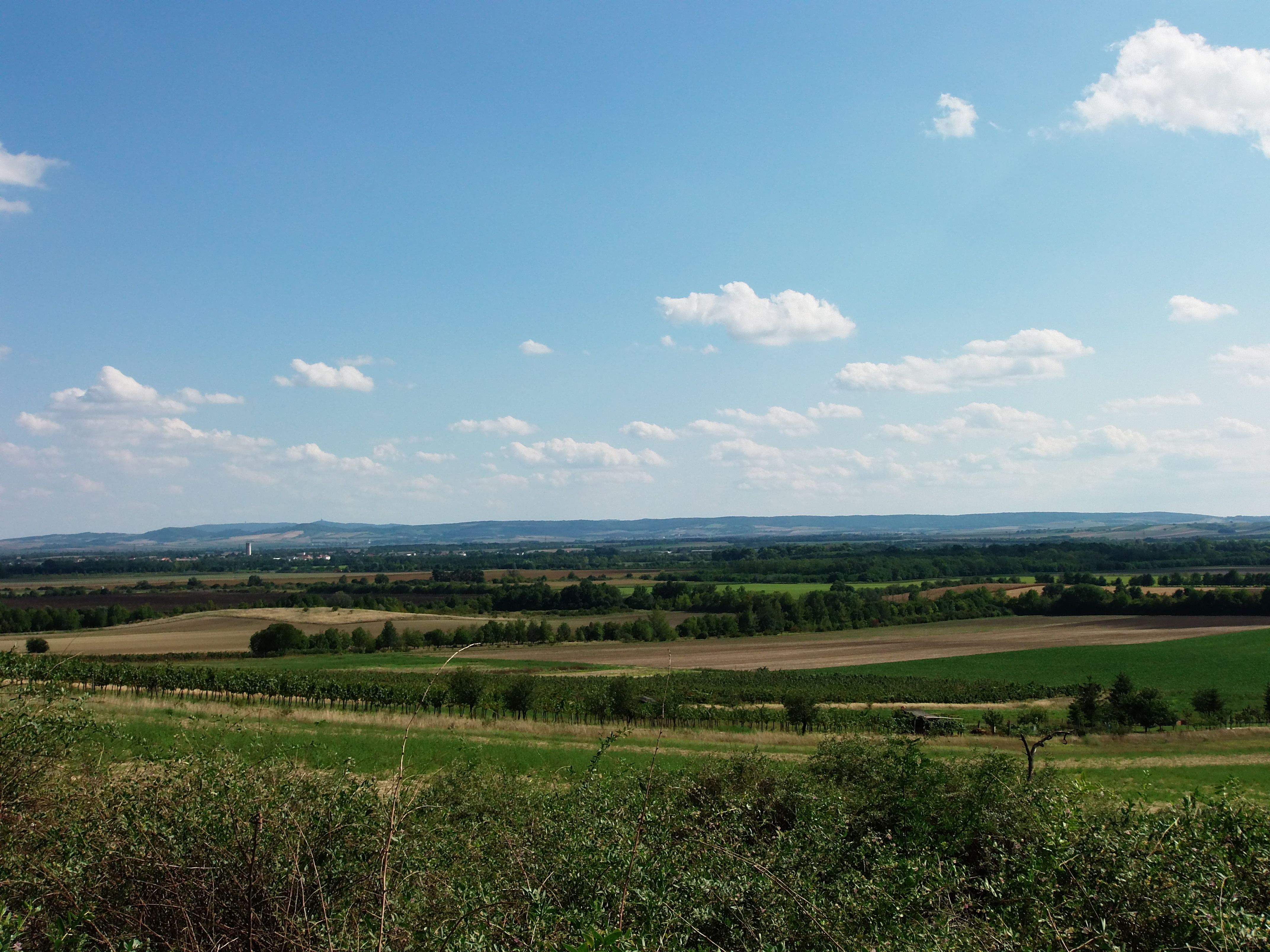 Weite Landschaft mit Feldern und Hügeln unter blauem Himmel mit Wolken.