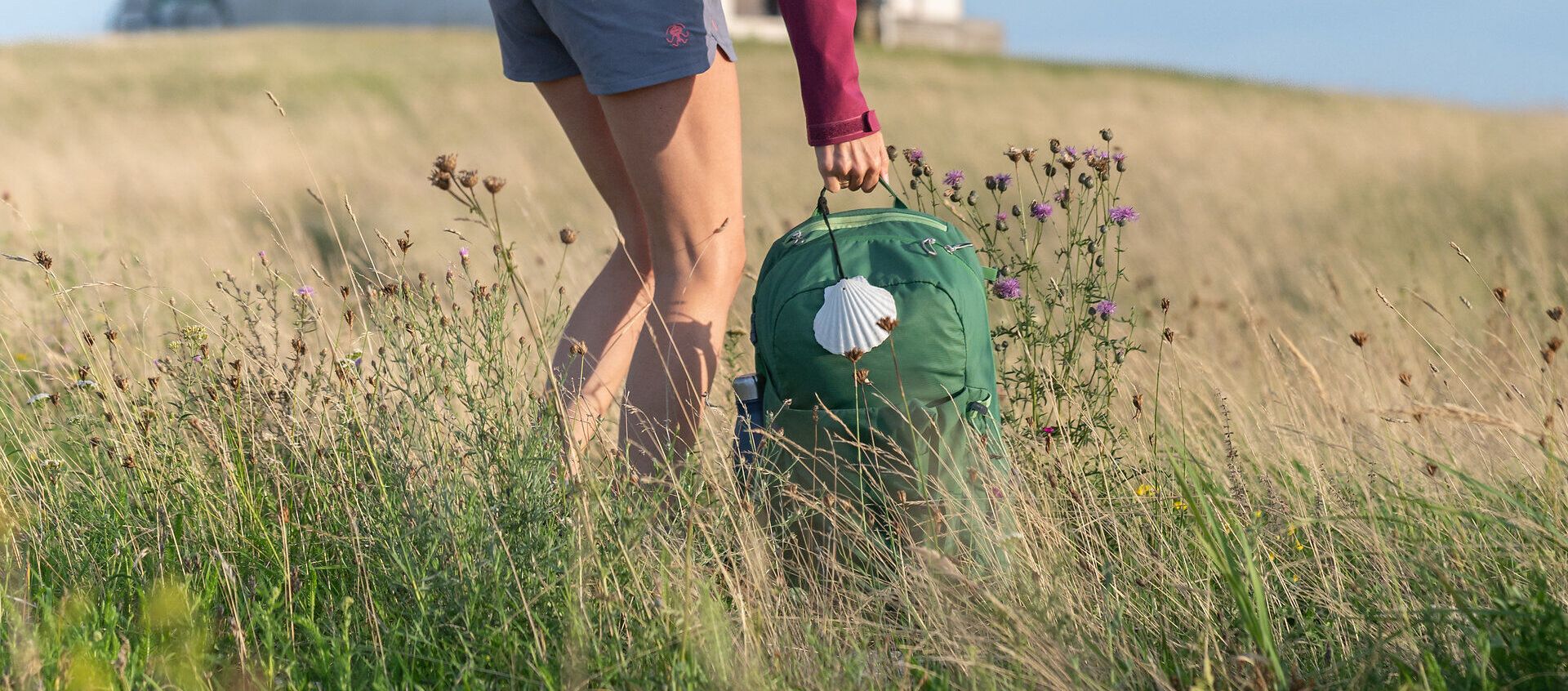 Eine Person greift nach einem Rucksack mit Jakobswegmuschel und Trinkflasche, der in einer Wiese steht.