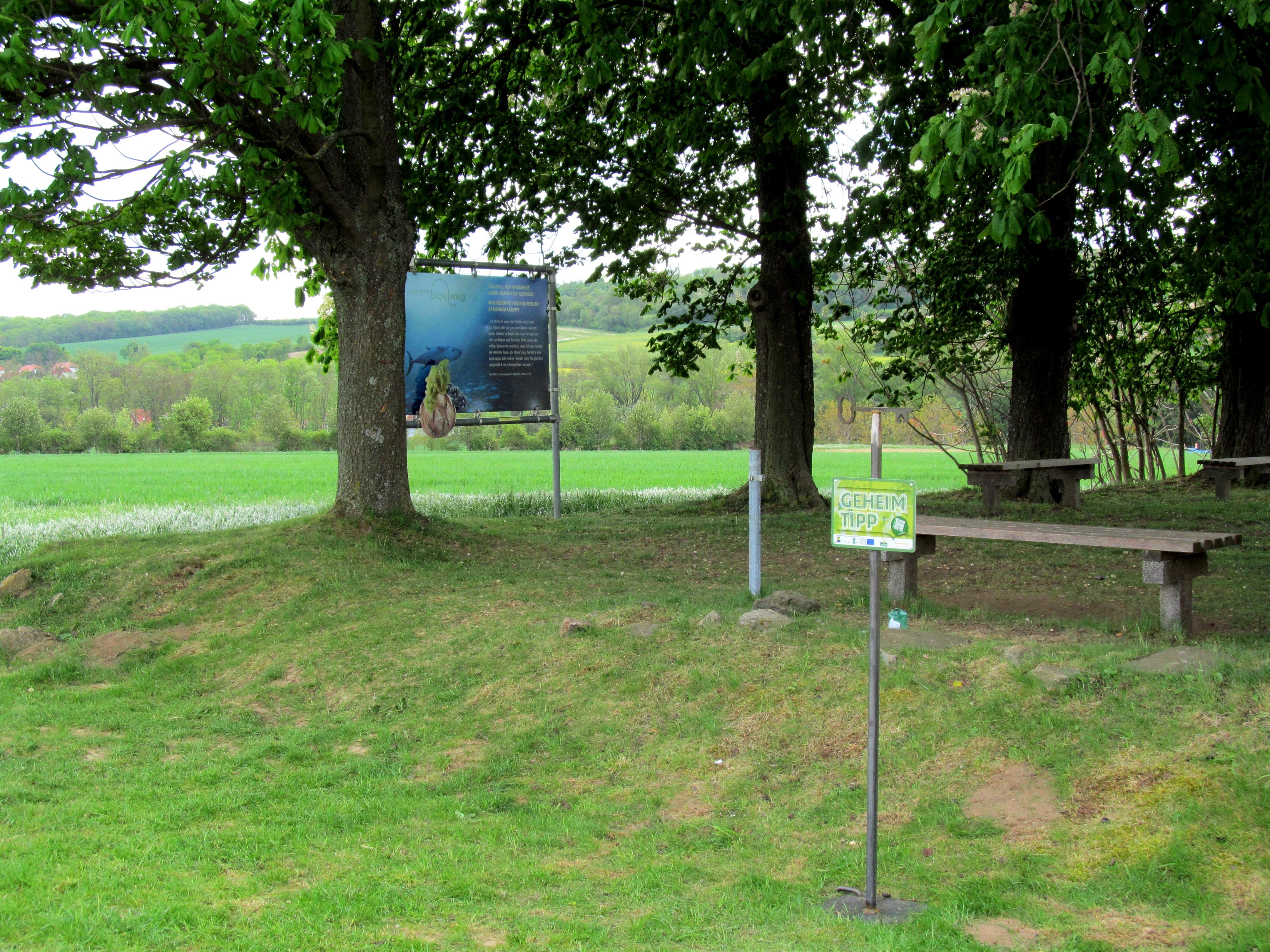 Ein schattiger Rastplatz mit Bänken unter Bäumen, umgeben von grünen Feldern. Ein Schild mit der Aufschrift 'Geheim Tipp' ist sichtbar.