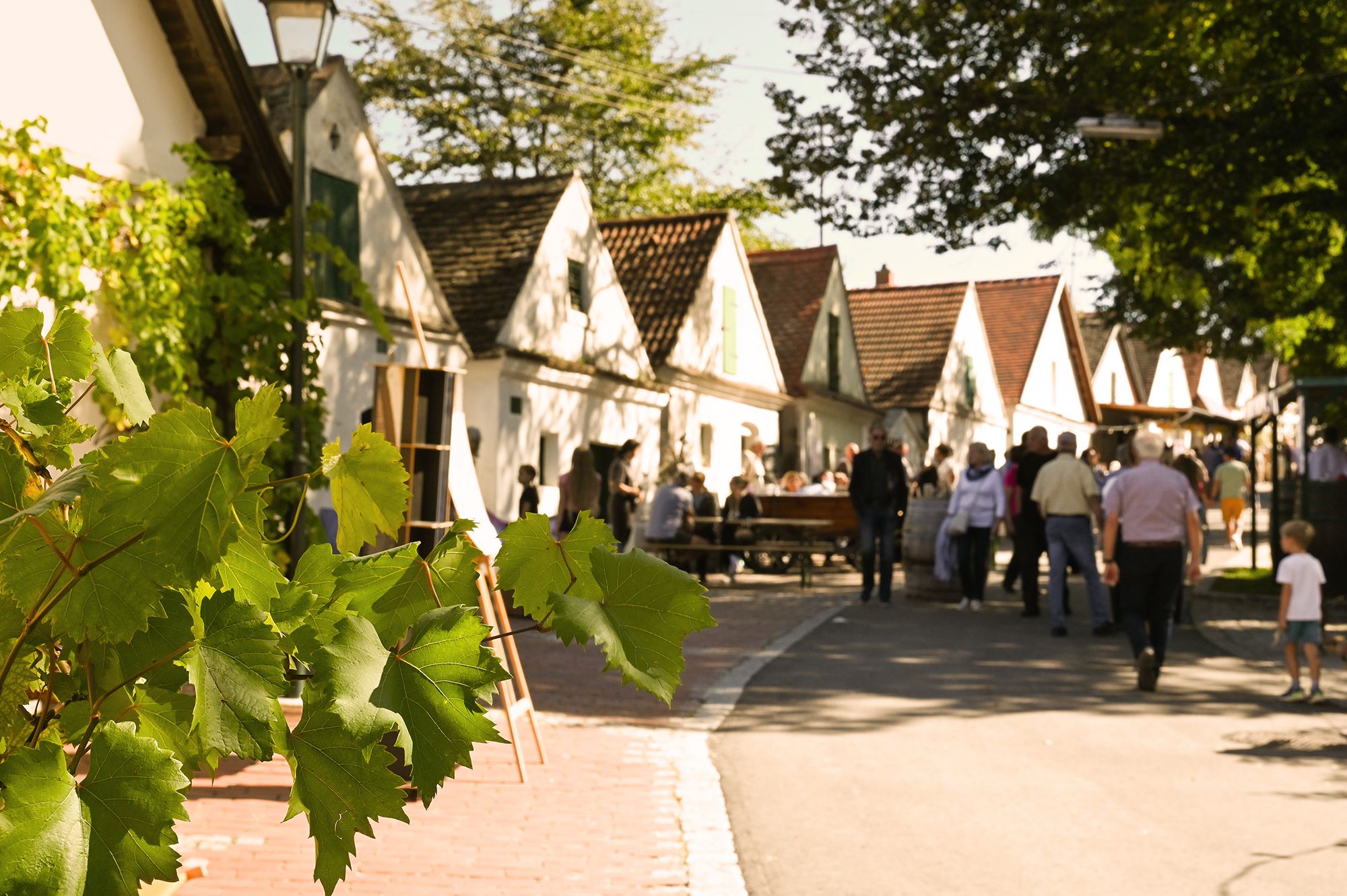 Kellergassenfest Wein-Kunst-Kultur in der Falkensteiner Kellergasse