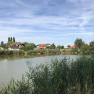 A calm lake with reeds in the foreground and houses in the background under a blue sky.