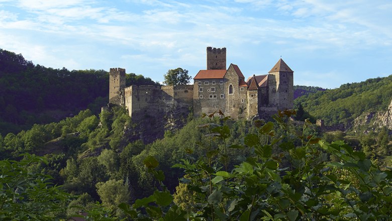 Burg Hardegg auf einem bewaldeten H&uuml;gel mit blauem Himmel im Hintergrund.