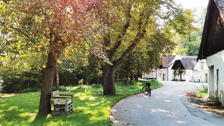 Ein idyllischer Weg mit Bäumen und weißen Häusern, ein Fahrrad steht am Wegesrand.