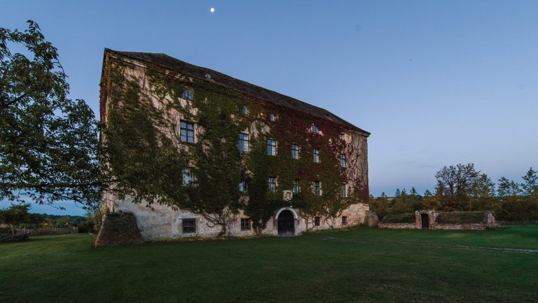 Fassade, © FelixHohagen Altes Gebäude mit Efeu bewachsen, umgeben von Wiese und Bäumen, bei Dämmerung mit Mond am Himmel.