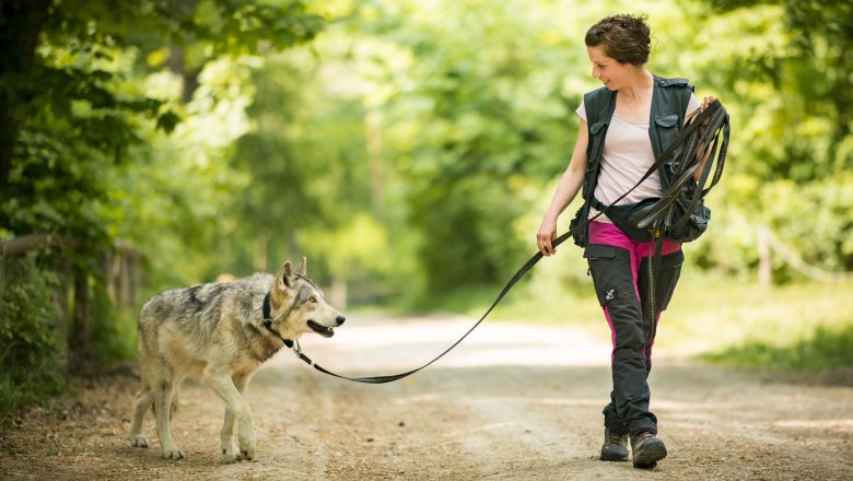 Spaziergang mit einem Wolf, © Rooobert Bayer @ WolfScienceCenter/vetmeduni Wien