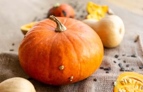 Weinviertler K&uuml;rbis, &copy; Weinviertel Tourismus / Astrid Bartl