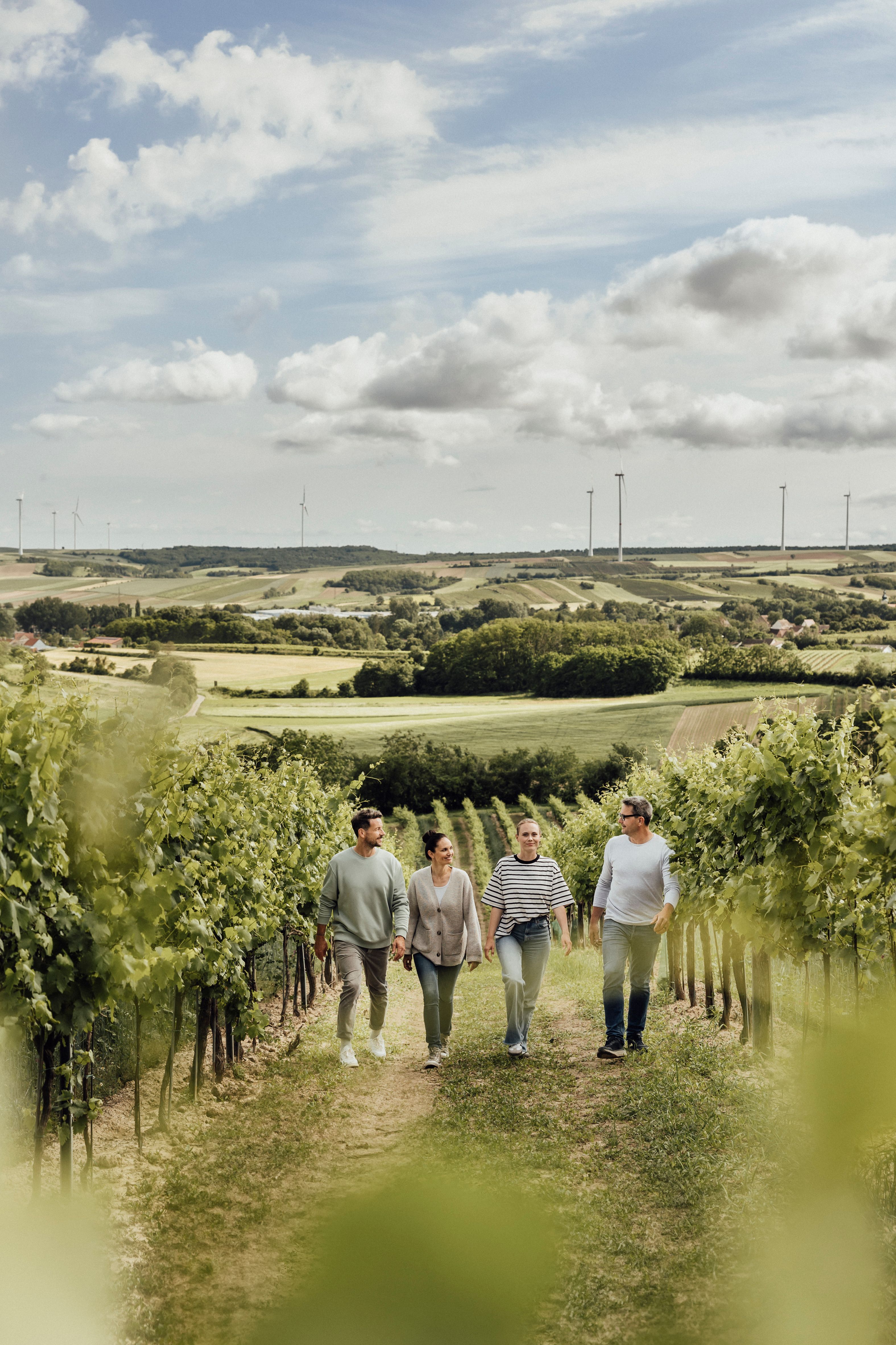 Ein entspannter Spaziergang durch die sanften Weinreben lädt dazu ein, die frische Luft und die malerische Landschaft zu genießen. Die Gruppe von Freunden lacht und plaudert, während sie die Schönheit der Natur und die köstlichen Weine der Region entdecken. Ein perfekter Tag, um die Seele baumeln zu lassen und die Freude am Weinfrühling zu erleben.