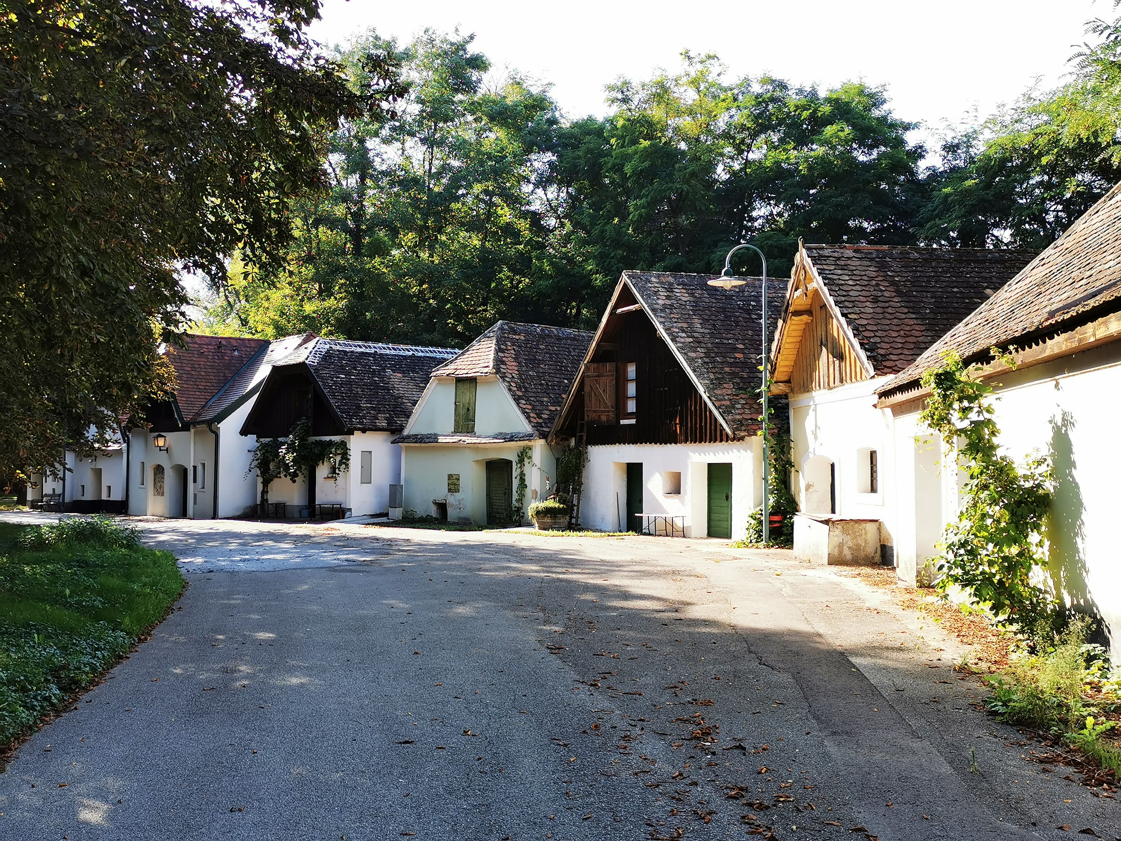 Eine malerische Gasse mit traditionellen weißen Häusern und schrägen Dächern, umgeben von Bäumen.